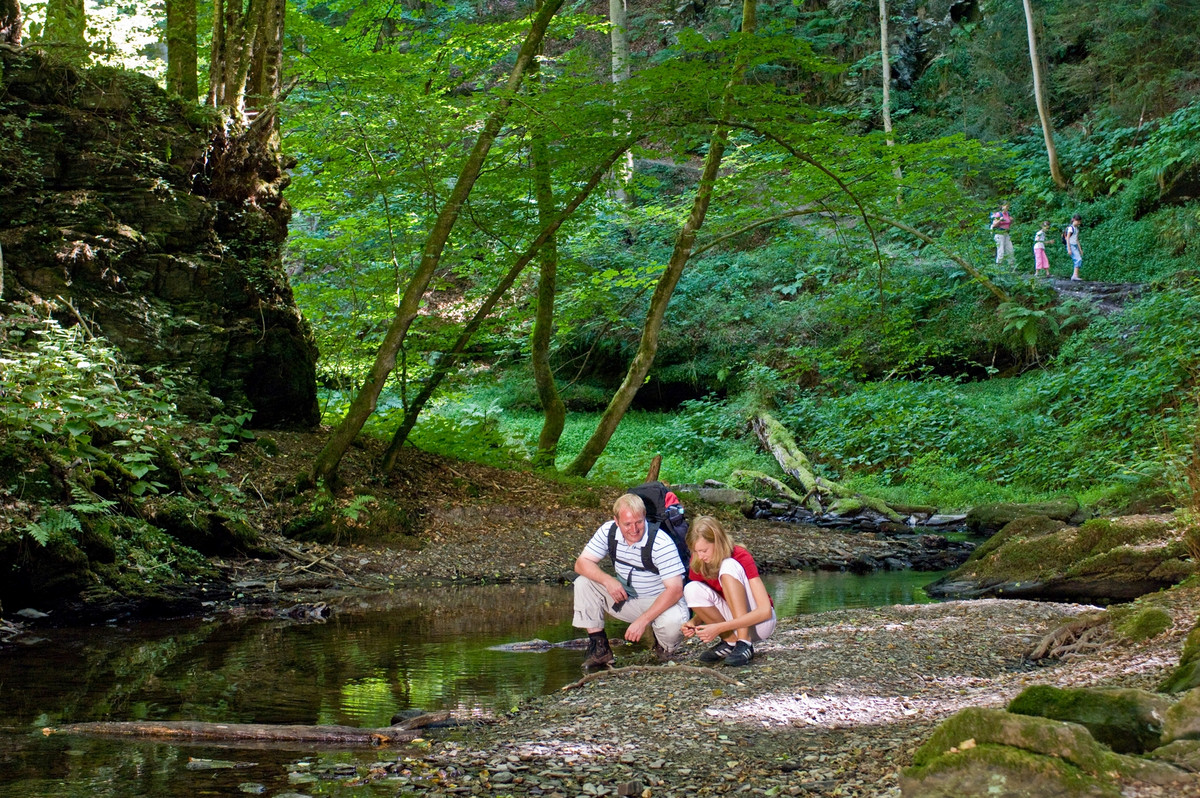 Schönste Wanderwege Internetportal des Landes Rheinland Pfalz